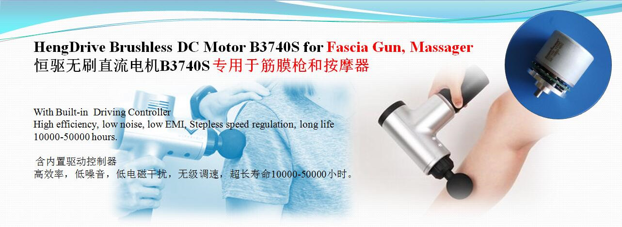 Fascia Gun BLDC Motor